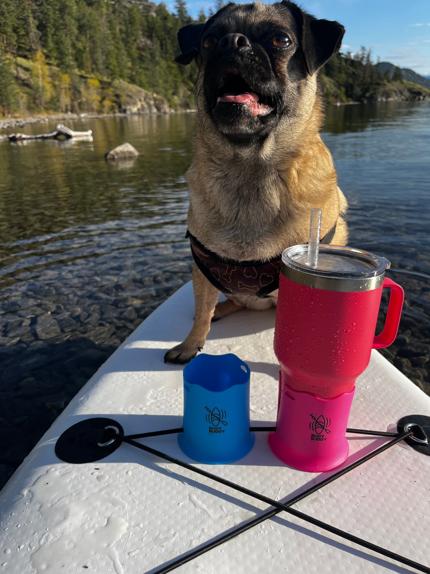 Buoy Buddy 1.0 – Paddleboard & Kayak Cup Holder (Plastic, 5lb Capacity, Deck String Attachment)